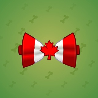 Bow Tie #56326