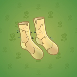 Fresh Socks #165301