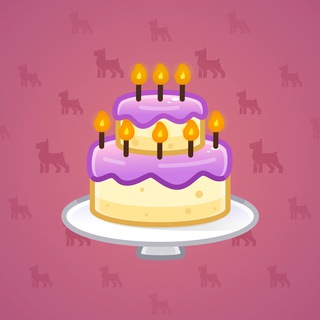 Homemade Cake #121363