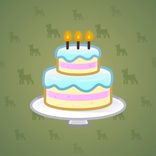 Homemade Cake #123326