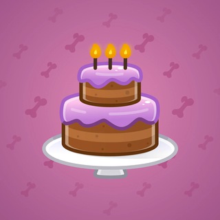 Homemade Cake #124866