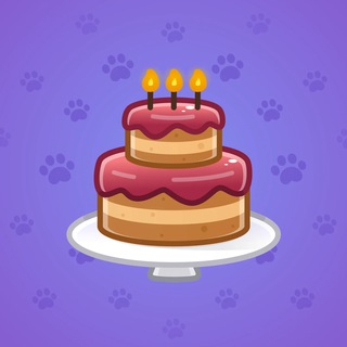 Homemade Cake #125862