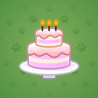 Homemade Cake #127479