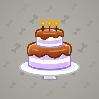 Homemade Cake #127991