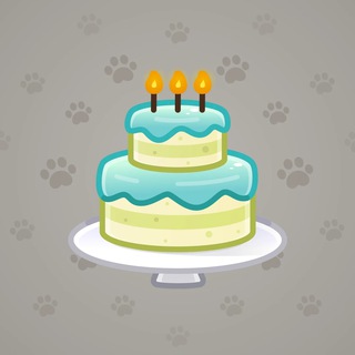 Homemade Cake #131765