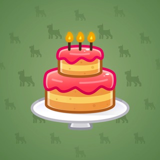 Homemade Cake #132751