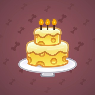 Homemade Cake #135304