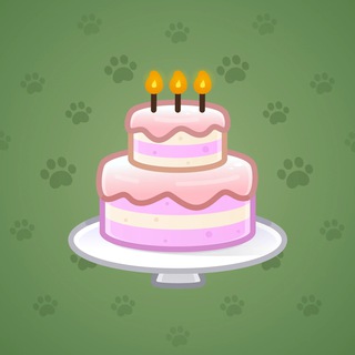 Homemade Cake #141575