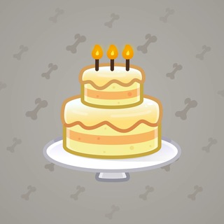 Homemade Cake #144304