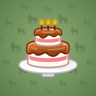 Homemade Cake #151510