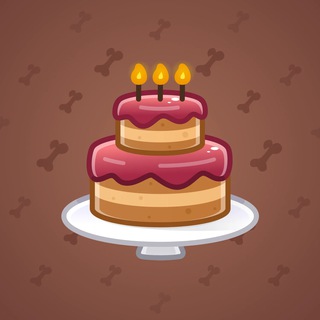 Homemade Cake #158719