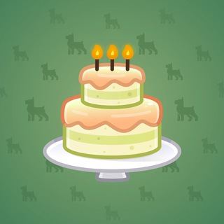 Homemade Cake #159989