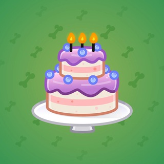 Homemade Cake #161136