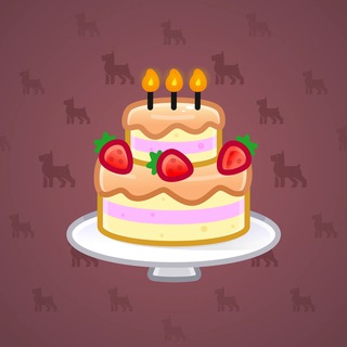 Homemade Cake #163371