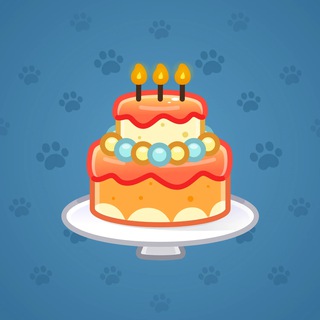 Homemade Cake #163840