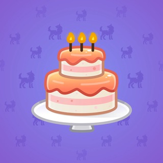 Homemade Cake #164923