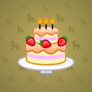 Homemade Cake #166395