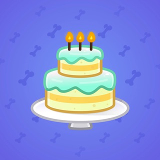 Homemade Cake #167658