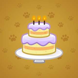 Homemade Cake #168465