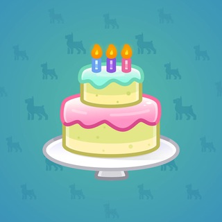 Homemade Cake #168476