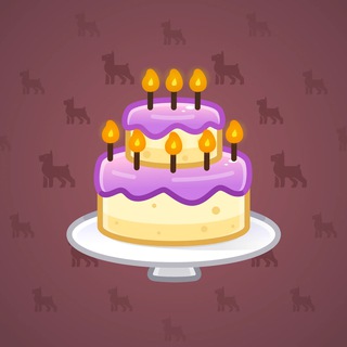Homemade Cake #168823