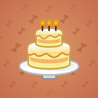 Homemade Cake #169209
