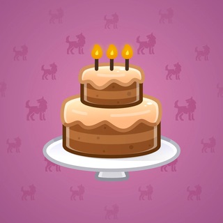 Homemade Cake #169247