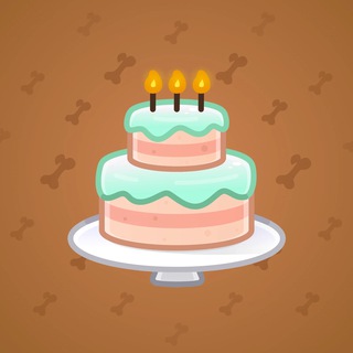 Homemade Cake #169889