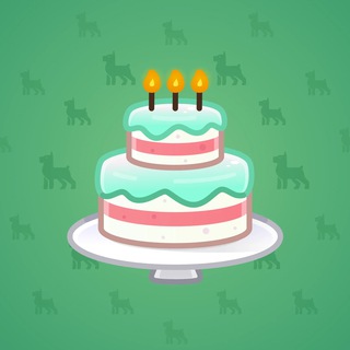 Homemade Cake #172056