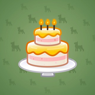 Homemade Cake #172395
