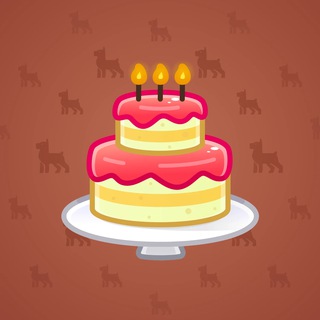 Homemade Cake #172984