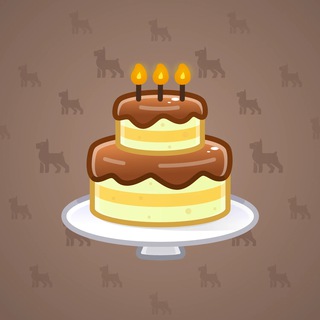 Homemade Cake #176859