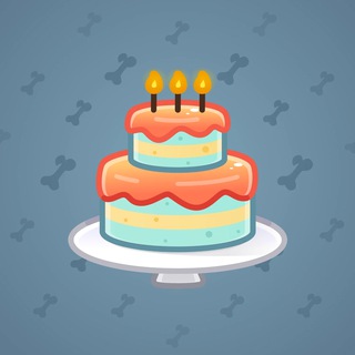 Homemade Cake #176946