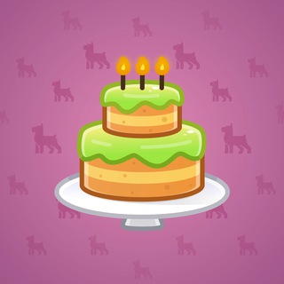 Homemade Cake #177087
