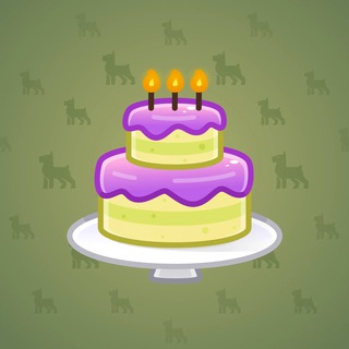 Homemade Cake #178659