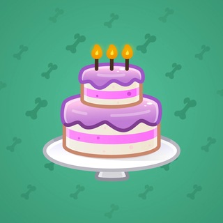 Homemade Cake #179253