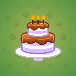 Homemade Cake #180022