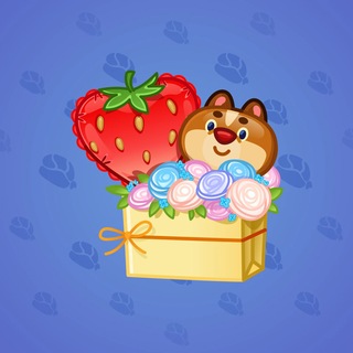 Joyful Bundle #83761