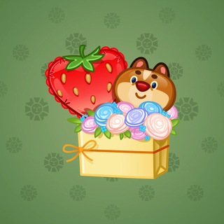 Joyful Bundle #83774