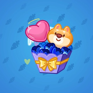 Joyful Bundle #84001