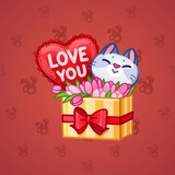 Joyful Bundle #84013