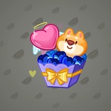 Joyful Bundle #84018
