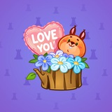 Joyful Bundle #84019