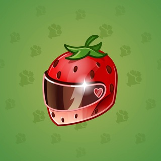 Neko Helmet #15459