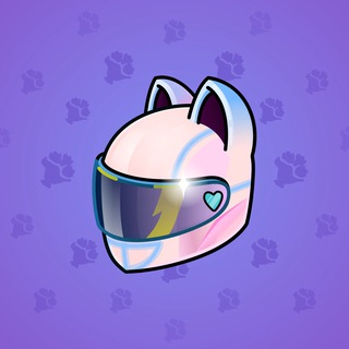 Neko Helmet #15469