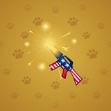 Party Sparkler #119639