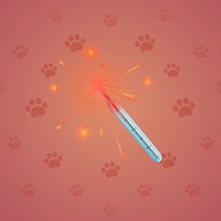 Party Sparkler #178168