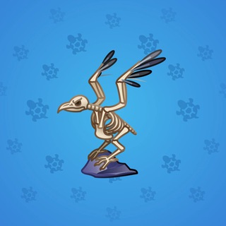 Rare Bird #11178