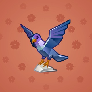 Rare Bird #11356