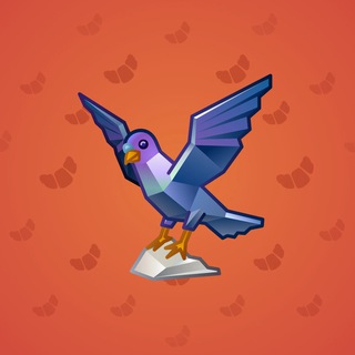 Rare Bird #12241